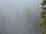 DSCF0576.JPG